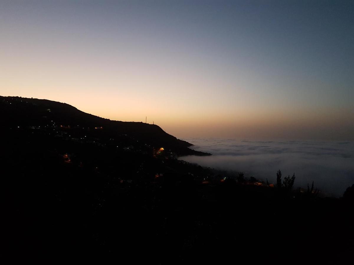 Finca Los Ciruelos Casas Rurales 이코드레로스비노스 외부 사진