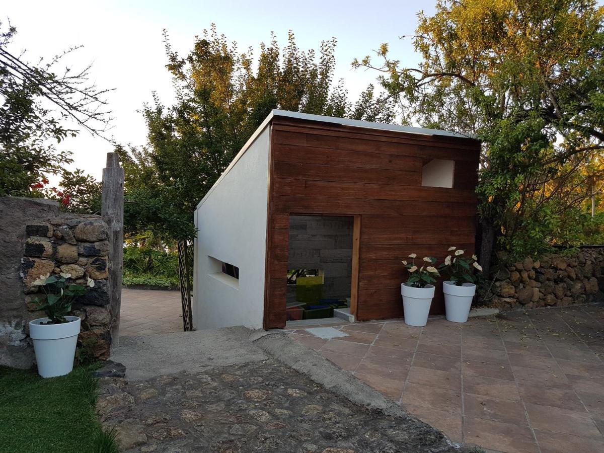 Finca Los Ciruelos Casas Rurales 이코드레로스비노스 외부 사진