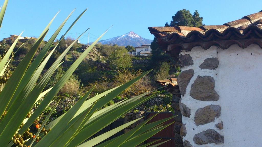 Finca Los Ciruelos Casas Rurales 이코드레로스비노스 외부 사진