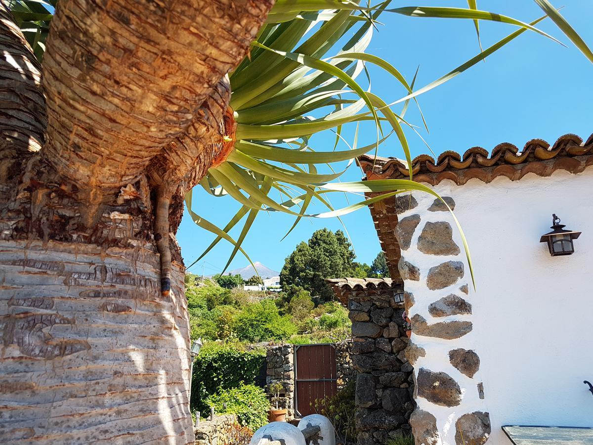 Finca Los Ciruelos Casas Rurales 이코드레로스비노스 외부 사진